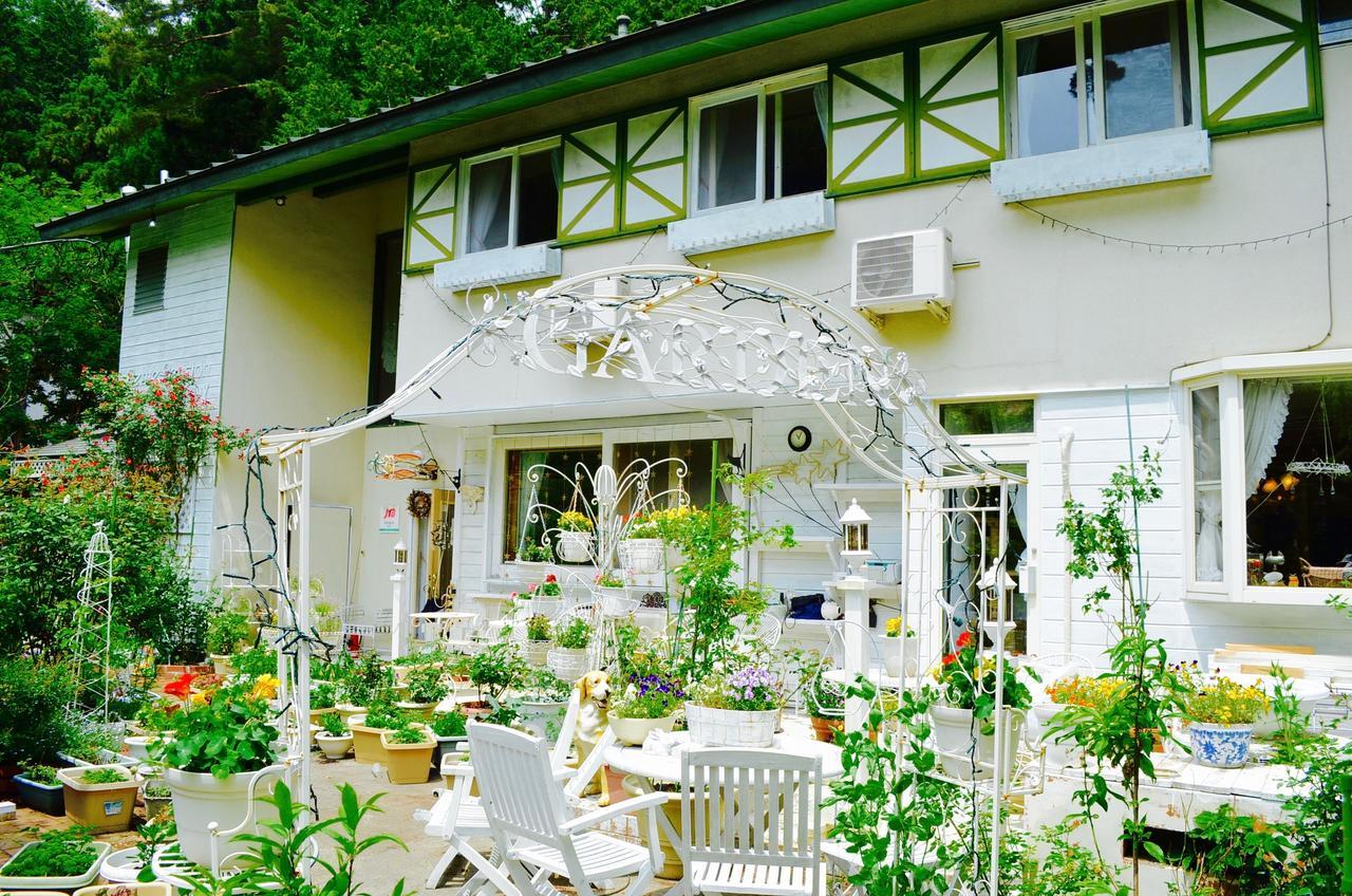 Mt Fuji Cat&Dog&Spa Pension Blue Poppy Fujikawaguchiko Exterior foto