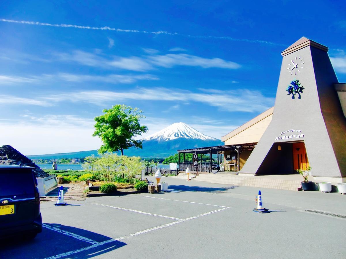 Mt Fuji Cat&Dog&Spa Pension Blue Poppy Fujikawaguchiko Exterior foto