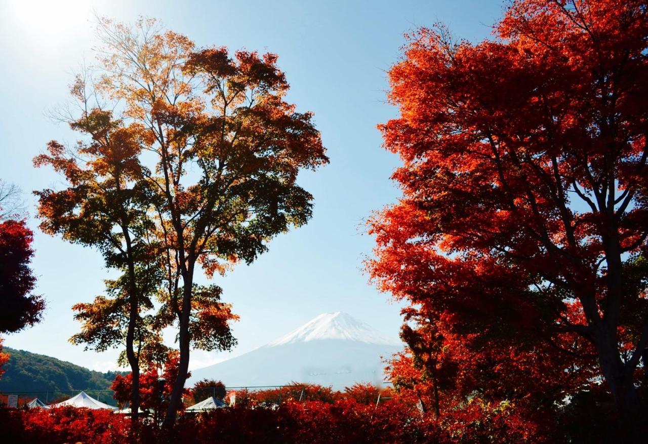 Mt Fuji Cat&Dog&Spa Pension Blue Poppy Fujikawaguchiko Exterior foto