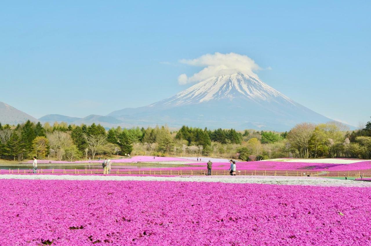 Mt Fuji Cat&Dog&Spa Pension Blue Poppy Fujikawaguchiko Exterior foto