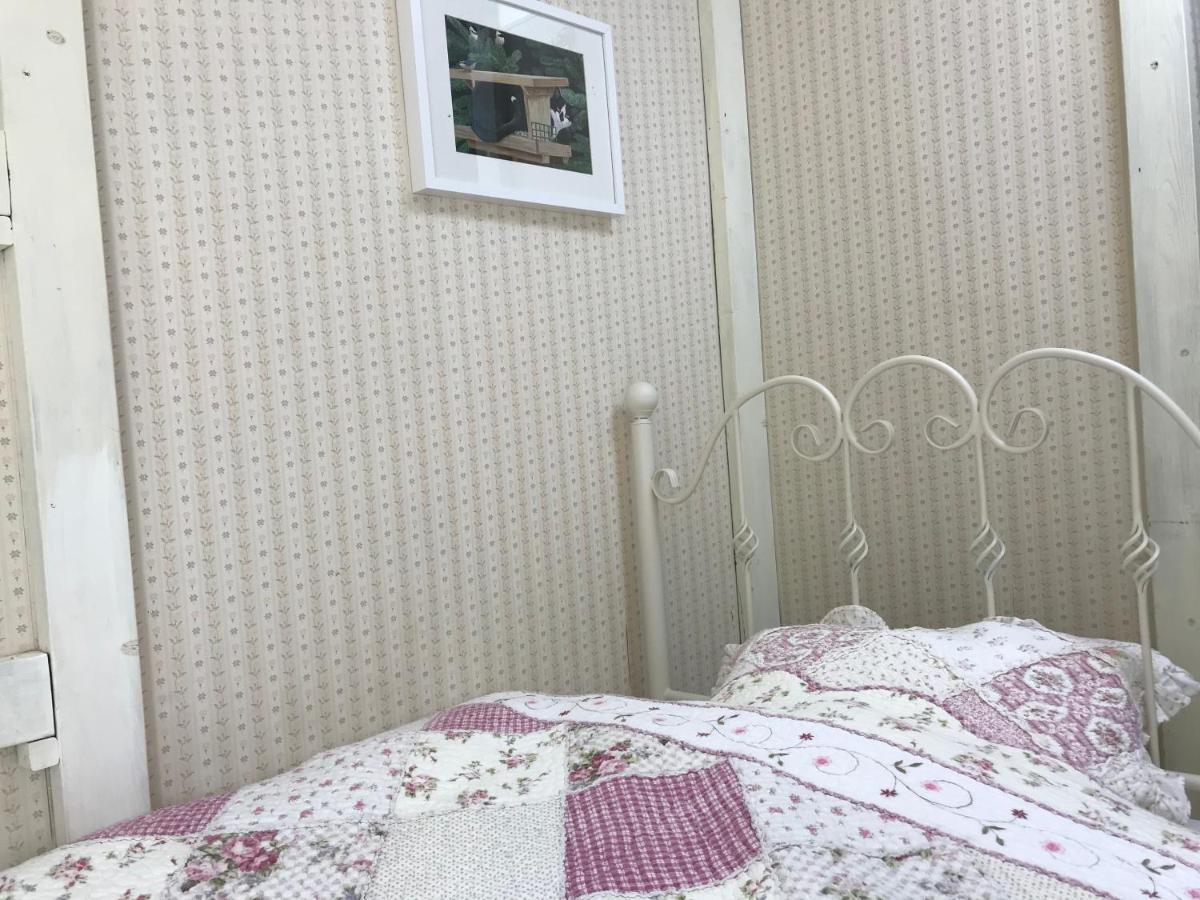 Mt Fuji Cat&Dog&Spa Pension Blue Poppy Fujikawaguchiko Exterior foto